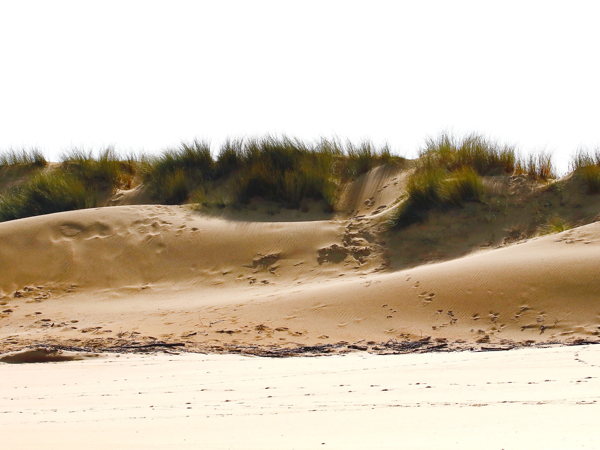 Dunas de la Playa de Loredo