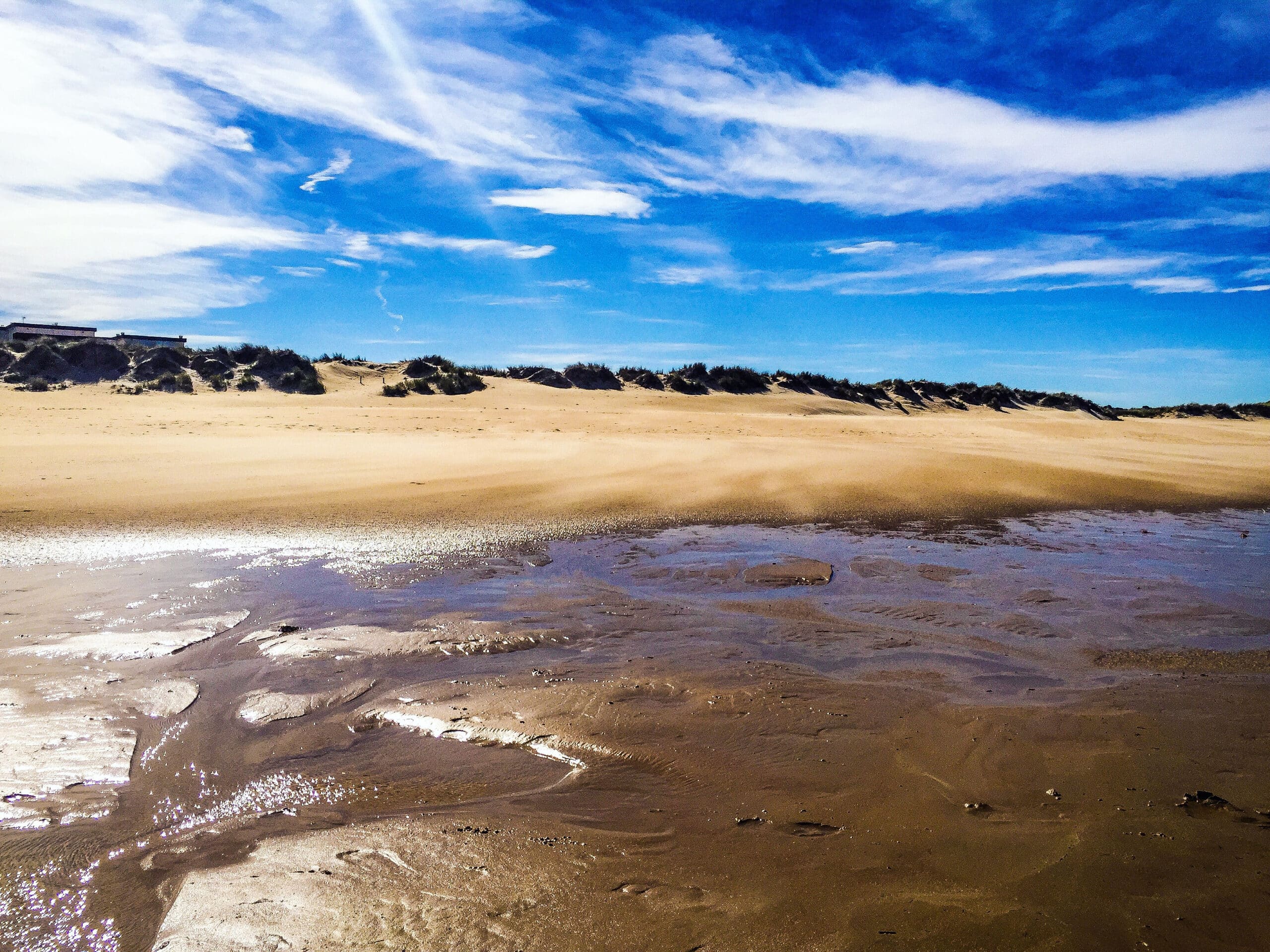 Dunas de la Playa de Loredo - Somo