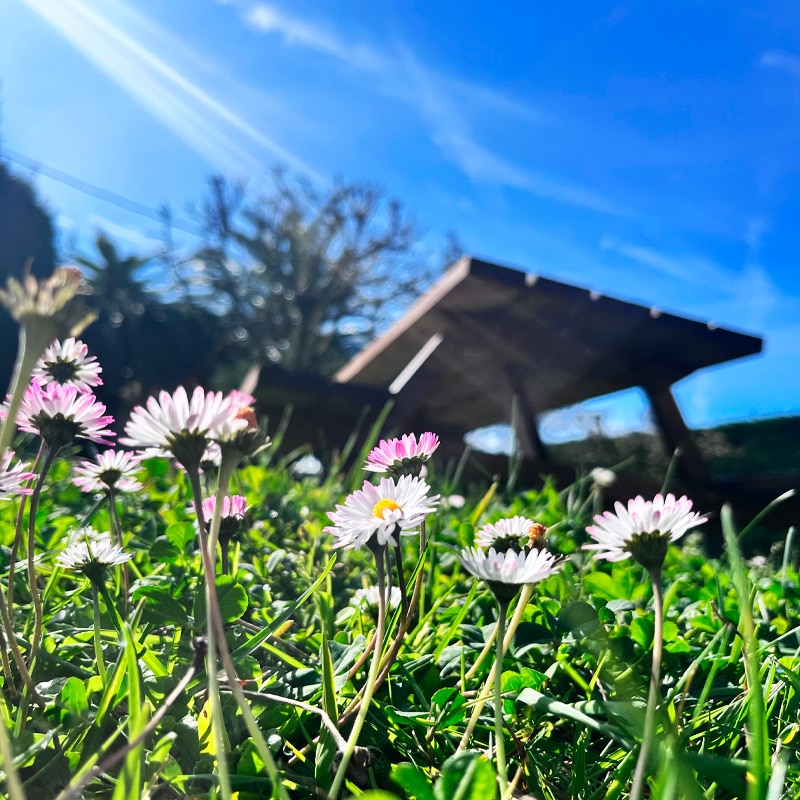 zona comun exterior surf house